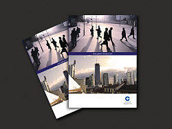 杂七杂八的一些，宣传册、折页、封套、企业内刊等。。