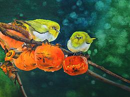 水彩畫－吃柿子的小鳥