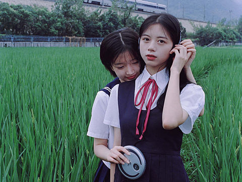 “和莉莉周有关的青春记忆”