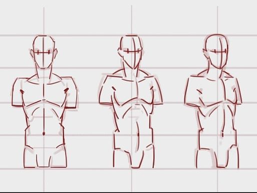 人体透视与动作