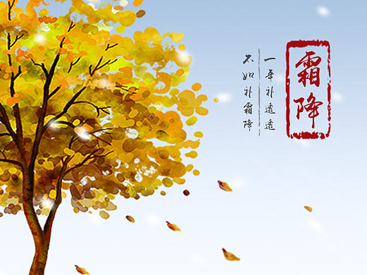 霜降内部小图片