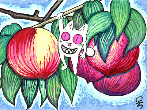 想念没一个不在当季的果果……