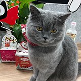 吃饭睡觉看电视的头像