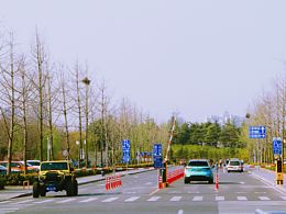 也就春天能拉我出去走走
