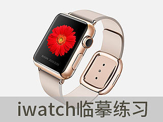 UI临摹作品（个人主页-ZNzE4NDU0OA==） - 图标 - 站酷设计师Mr_Bison原创素材 - 站酷ZCOOL