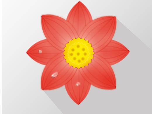 花瓣