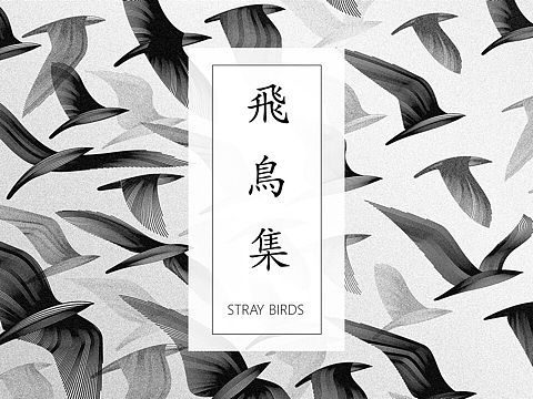 《飞鸟集》黑白配色PPT模板