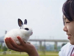 小吃貨（個(gè)人主頁-ZMTM0NTcyMA==） - 寵物攝影 - 站酷設(shè)計(jì)師米蘭的小畫匠原創(chuàng)素材 - 站酷ZCOOL