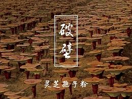 灵芝