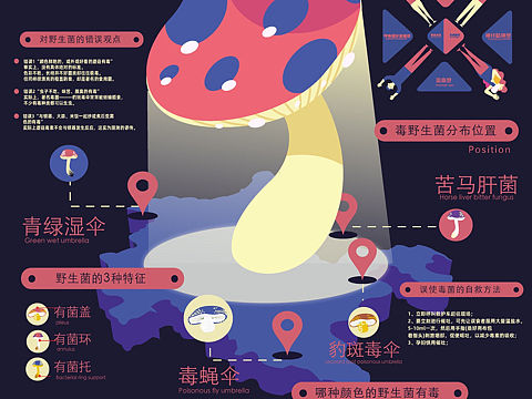 云南野生菌-信息图表设计
