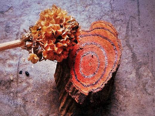 草药（个人主页-ZMjE2NjkyMDg=） - 产品摄影 - 站酷设计师啊神0原创素材 - 站酷ZCOOL