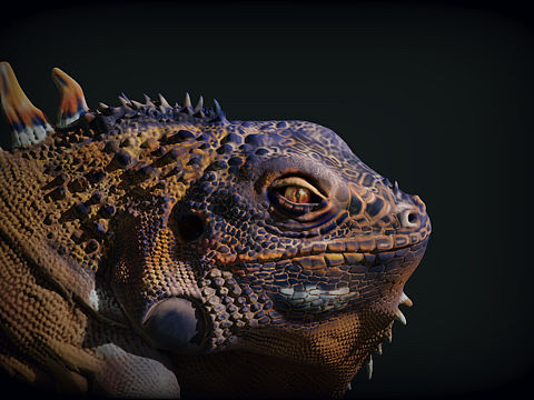 蜥蜴（個人主頁-ZNDY4MDU1MDg=） - 人物/生物 - 站酷設(shè)計師搖光_原創(chuàng)素材 - 站酷ZCOOL