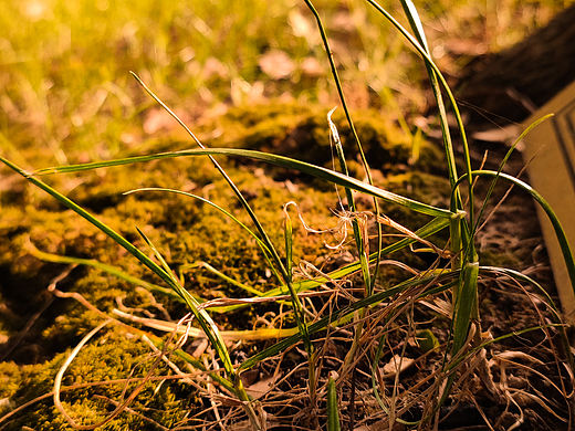 校園風(fēng)光（個人主頁-ZNTY4OTA5MDg=） - 風(fēng)光攝影 - 站酷設(shè)計師思o(jì)r棄原創(chuàng)素材 - 站酷ZCOOL