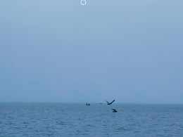 一望无际的海