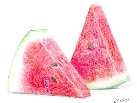 彩铅班课堂作业一副