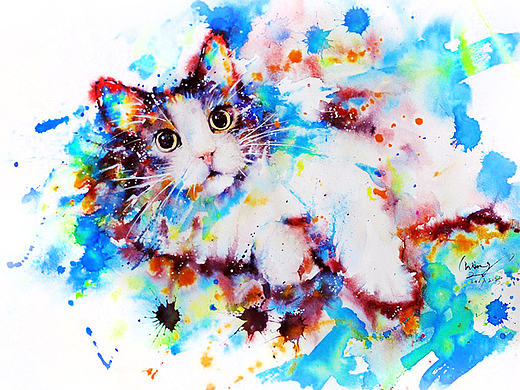 水彩下的猫青年