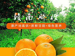脐橙详情页
