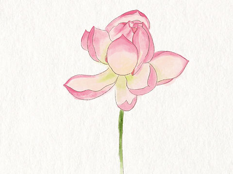 试试procreate水彩（个人主页-ZNTY0MjQwNzI=） - 儿童插画 - 站酷设计师佳柰原创素材 - 站酷ZCOOL