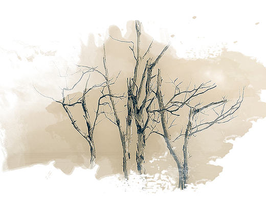 loading page