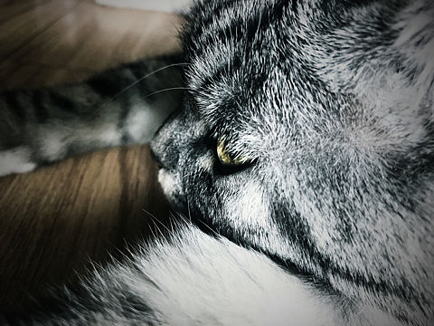 且行且珍惜（个人主页-ZMjI4NjI4NDA=） - 其他 - 站酷设计师痴兽原创素材 - 站酷ZCOOL