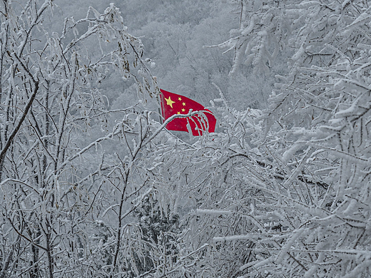 无畏风雪