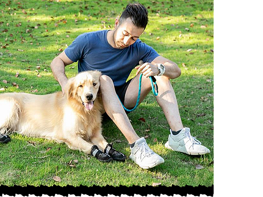 跨境外贸国际站宠物婴儿详情页banner海报-宠物旅游鞋