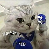 舒克丁满的头像