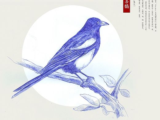 ［绘画练习］最近画的圆珠笔画/素描(鸟)