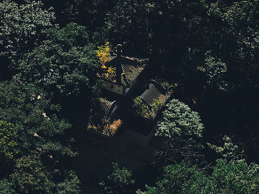 假日末，青山半日