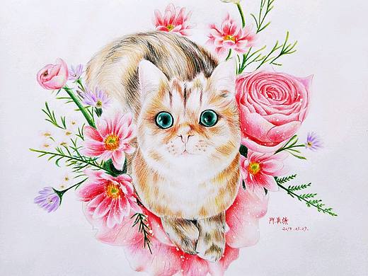 喵小姐,彩铅学习。