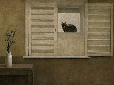 《猫与窗》