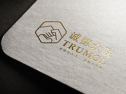 logo设计提案