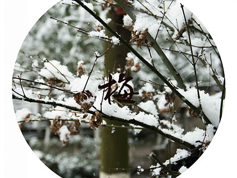 嗖嗖嗖（个人主页-ZMjI1ODIyOTI=） - 风光摄影 - 站酷设计师HeraclesYuan原创素材 - 站酷ZCOOL