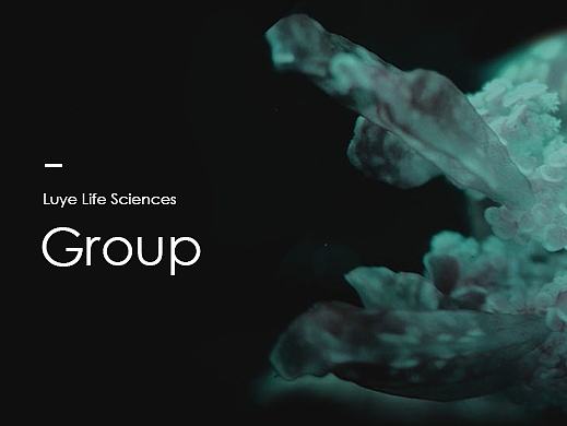 Linseng science group-林森集团页面改版