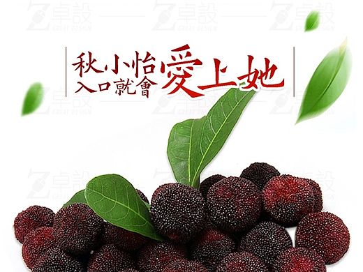 众筹杨梅产品详情页设计稿