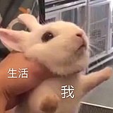 那数羊吧_的头像