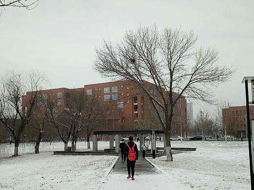 手机摄影——我的大学（个人主页-ZMTk2NTY3NTI=） - 风光摄影 - 站酷设计师钰闺女原创素材 - 站酷ZCOOL