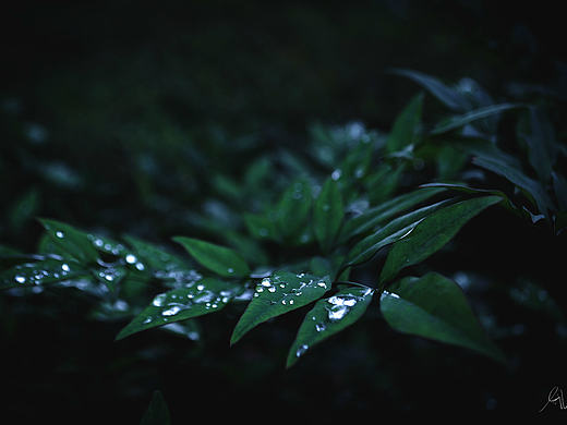 旧时摄影