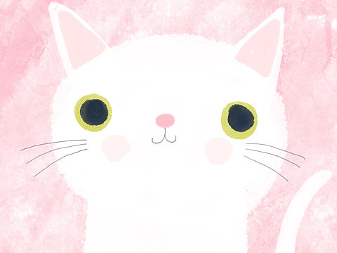 朋友家的两只肥猫