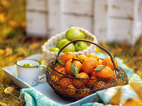 秋天的尾巴，户外，色彩