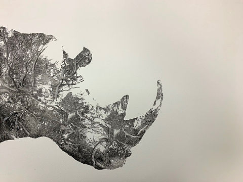 无题（个人主页-ZNDEzNDI0MDg=） - 其他 - 站酷设计师赵磊艺术家原创素材 - 站酷ZCOOL