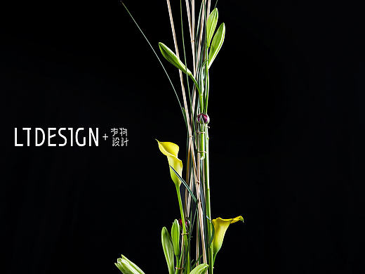 昨晚兴趣课作品（个人主页-ZMzE3NjI4MzI=） - 其他手工艺 - 站酷设计师李江平花植艺术原创素材 - 站酷ZCOOL