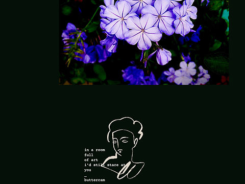 雨后，清新绿