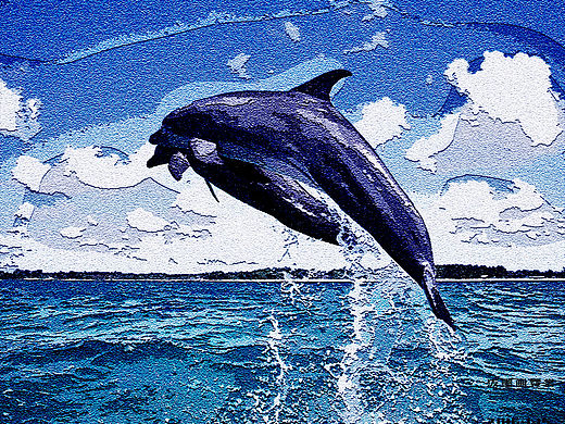 海豚（個(gè)人主頁-ZMTQ3Njk1NzI=） - 書籍/畫冊 - 站酷設(shè)計(jì)師暖暖的紙飛機(jī)原創(chuàng)素材 - 站酷ZCOOL