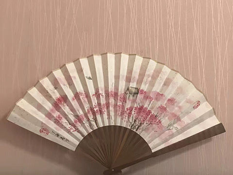 练习的扇子黑历史no.2