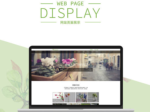 绿植网页展示