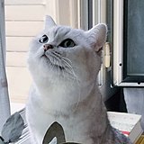 Yanni十六的头像