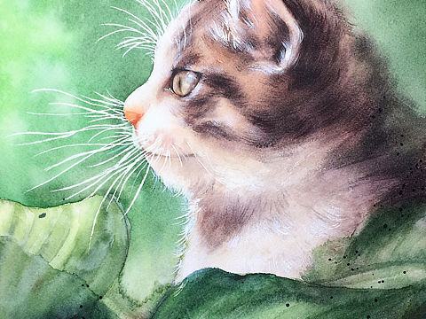 喵小咪🐈……猫宁