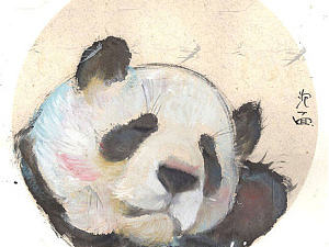 2017总结