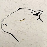 水豚先生的头像
